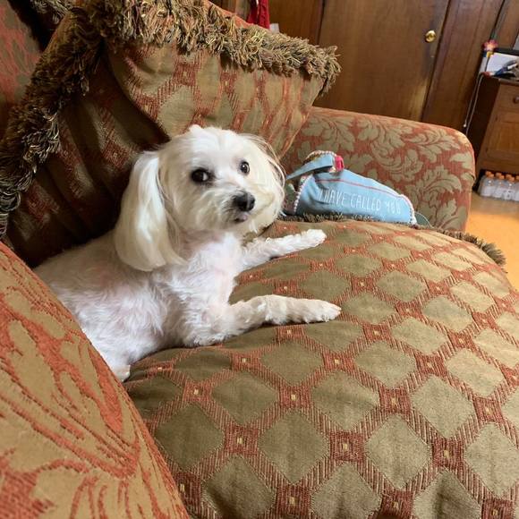 Meet your Posher, Evelyn p. - Picture 1 of 1